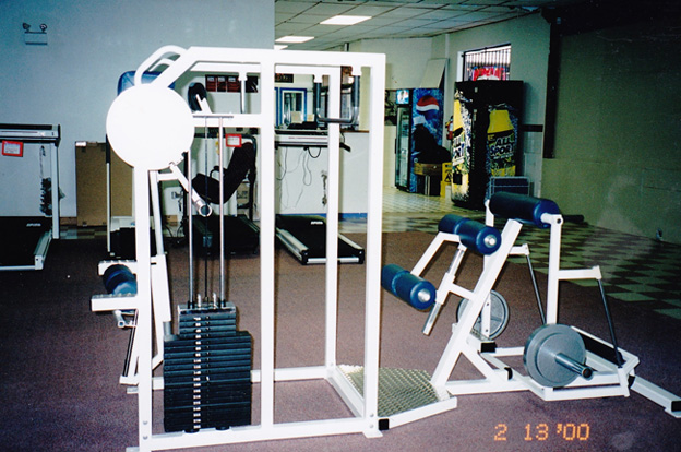 Origin Of Reverse Hyper Extension