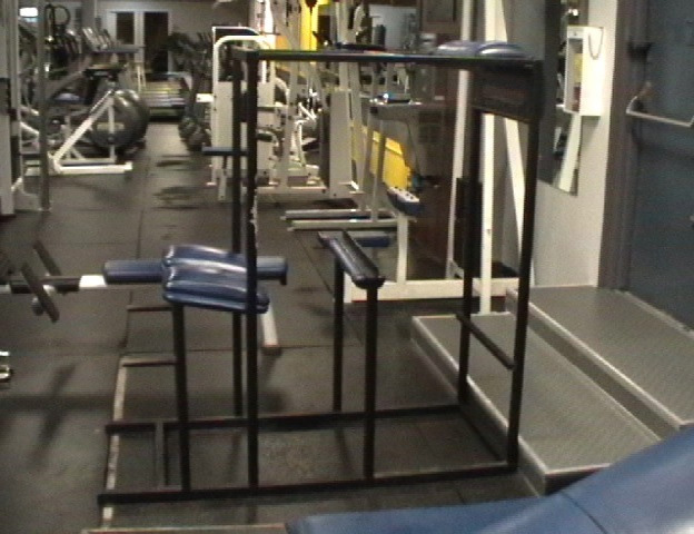 Origin Of Reverse Hyper Extension