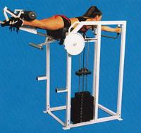 Reverse Hyper Backmaster Reverse Hyper Backmaster